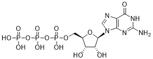 GTP.png